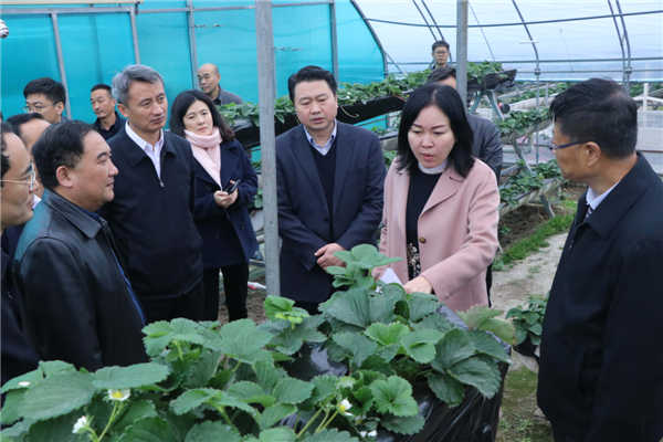 “質(zhì)量興農(nóng)萬里行”陜西站活動花落安康、走進漢濱、風(fēng)起陽晨